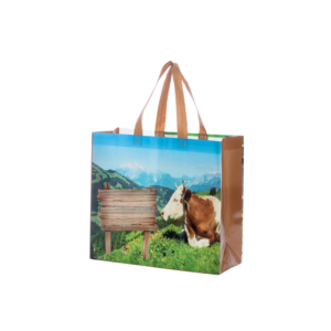 Promotional Shopping Bag One Step Forming Non Woven Bag